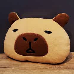 Toptan Capybara Yastık Toptan Capybara Yastık