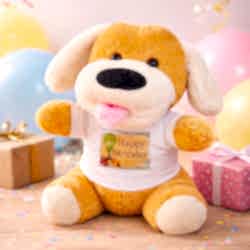 Toptan Happy Birthday Tişörtlü Peluş Oyuncak Köpek Toptan Happy Birthday Tişörtlü Peluş Oyuncak Köpek