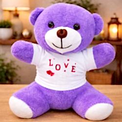 Toptan Love Baskılı Tişörtlü Peluş Oyuncak Ayıcık Toptan Love Baskılı Tişörtlü Peluş Oyuncak Ayıcık