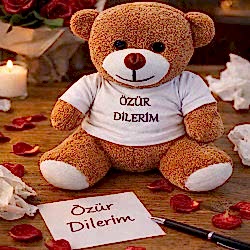 Toptan Özür Dilerim Tişörtlü Oyuncak Ayıcık Toptan Özür Dilerim Tişörtlü Oyuncak Ayıcık