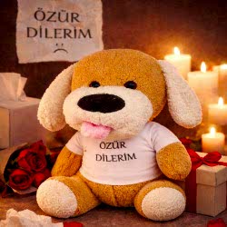 Toptan Özür Dilerim Tişörtlü Peluş Oyuncak Köpek Toptan Özür Dilerim Tişörtlü Peluş Oyuncak Köpek
